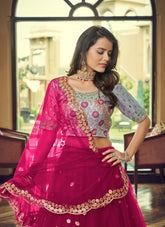 Dapper Looking Lehenga Choli in Cherry Colour
